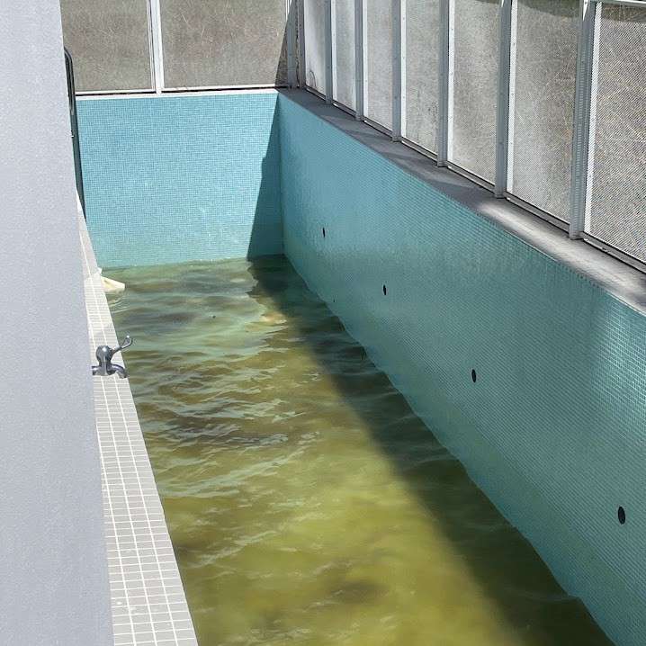 宜蘭頭城游泳池清潔消毒