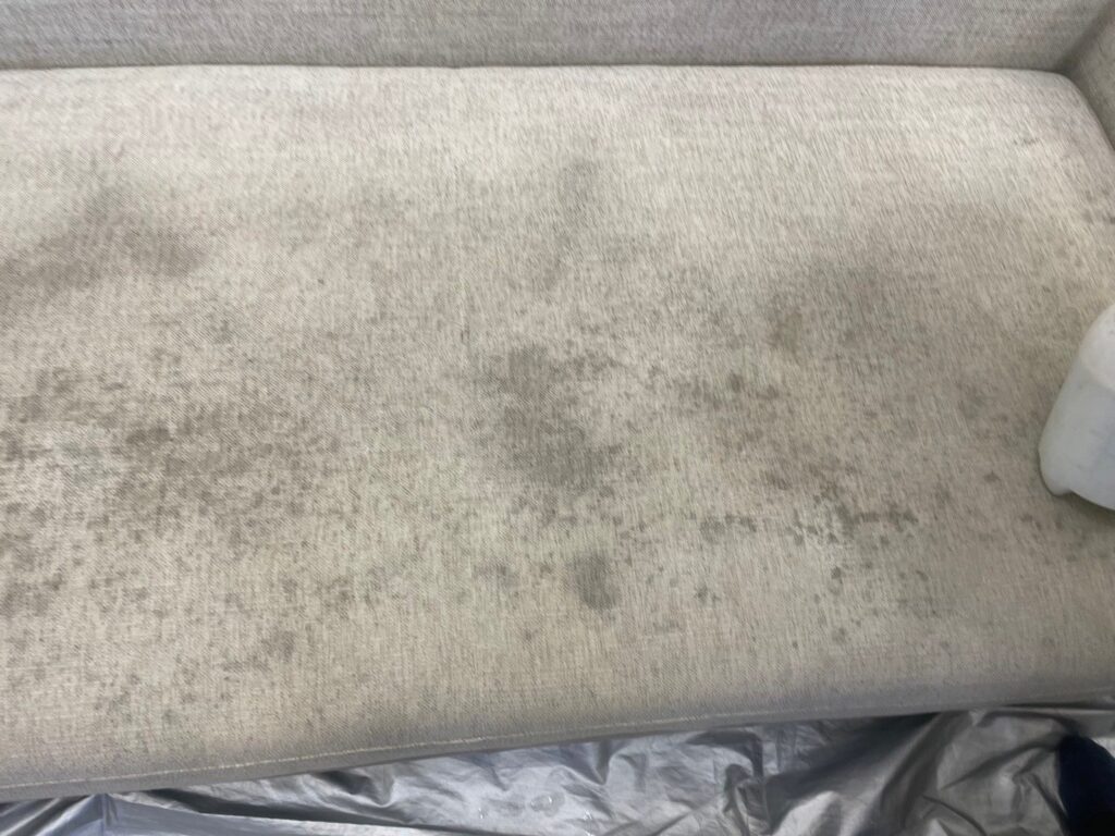 宜蘭清洗布沙發清潔不求人