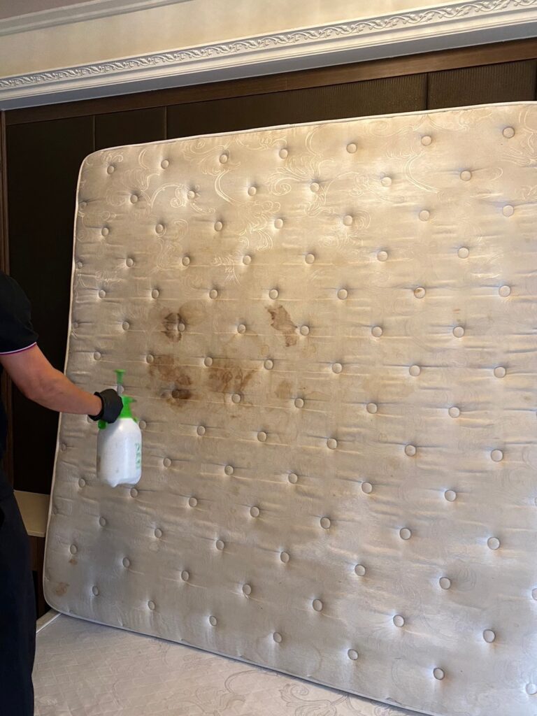 南港 床墊清洗真的有效嗎?  文山區床墊清洗專業團隊